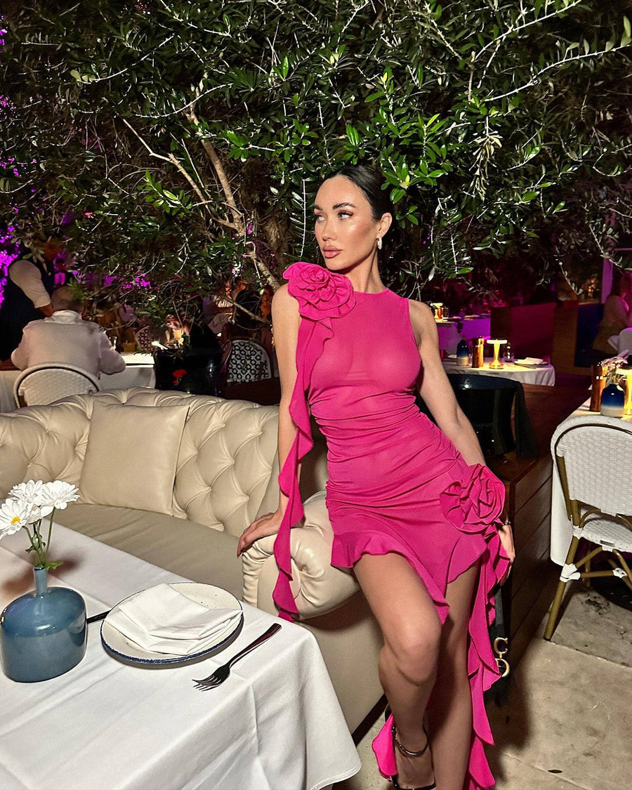 Ruffles Transparent Pink Dress - - DYAVOR®